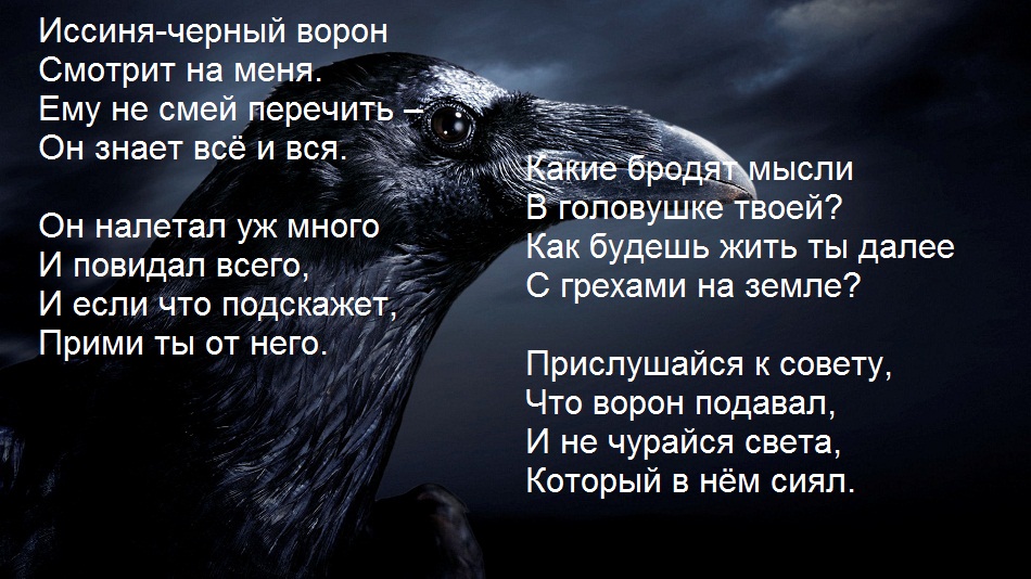 Цитаты о воронах