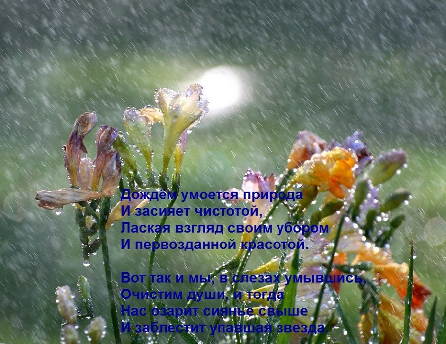 Стих свежесть. Стихи о Дожде красивые. Дождливое утро. Дождливый день. Дождливое доброе утро пожелания.