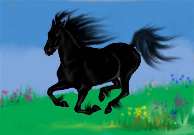 Черный конь песня. Лошадь Мустанг иноходец. Вороной Мустанг иноходец. Мустанг иноходец иллюстрации. Мустанг иноходец черный.