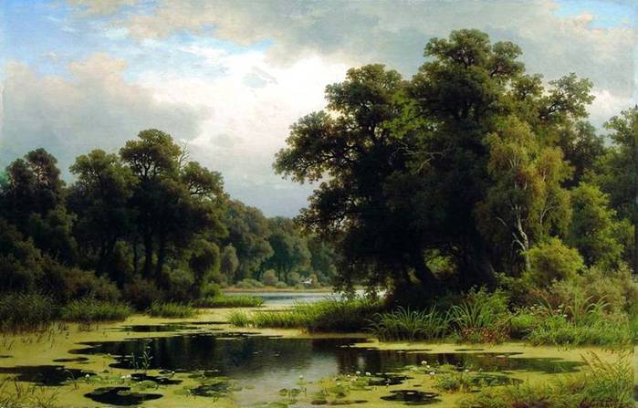 Заросший пруд