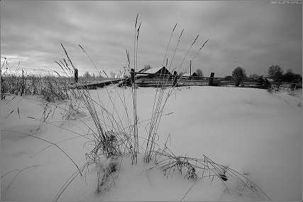 Жизнь и время