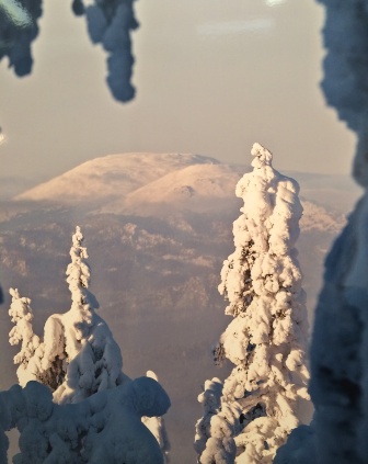 Рассказы Февраля