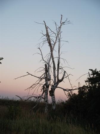 Когда перестану бояться за тебя