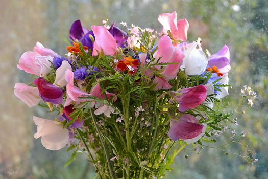 порадую себя