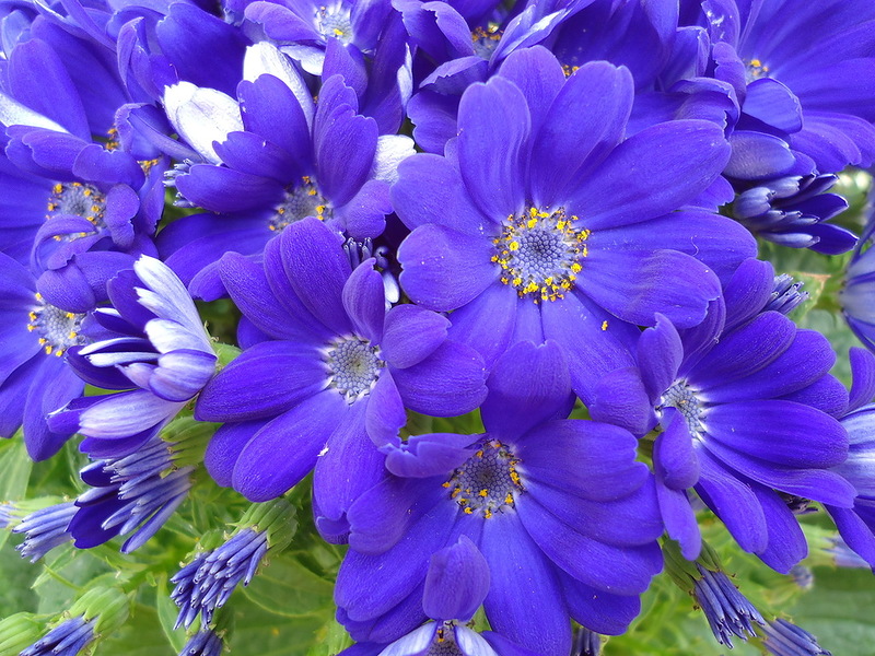 Визитная карточка