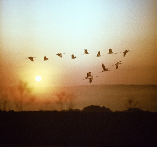 То, что ты не слышал