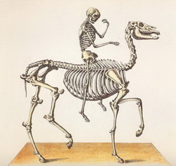 Политическая фантасмагория