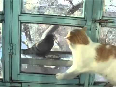 Де зникла? Перевод Светланы Груздевой!