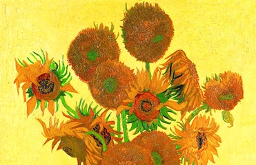 подсолнухи...