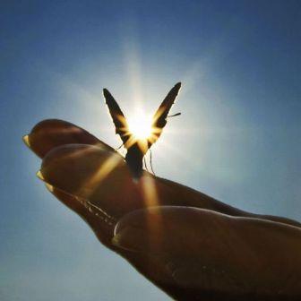 Видео За всё Судьбу благодарю