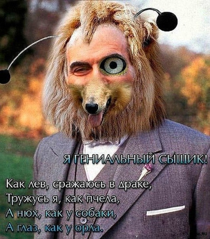 Невероятные способности собак