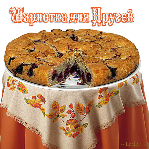 Шарлотка для друзей