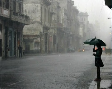 Оттенки осени