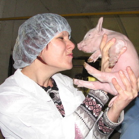 поросячий заговор