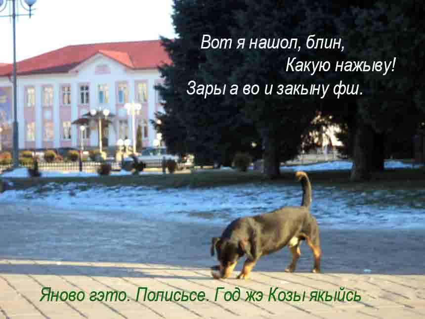 Мы будим заре шё тут щь робыть