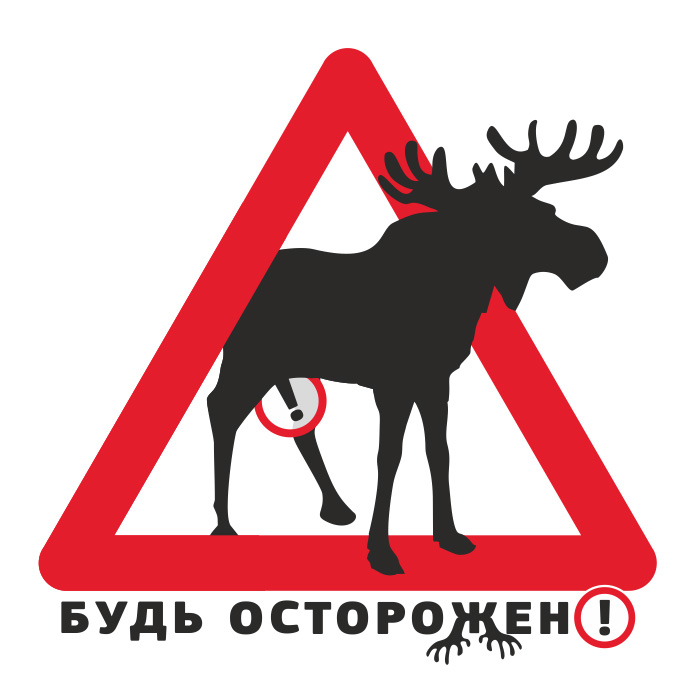 Крещенское моржевание