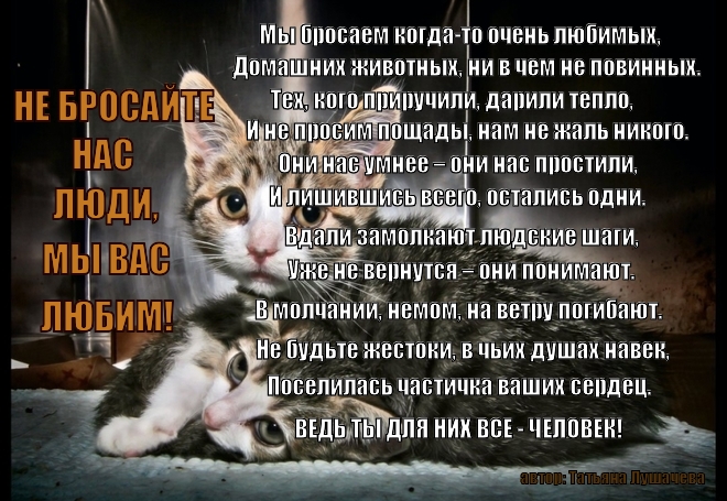 открытки не бросай меня пожалуйста блюда, которые