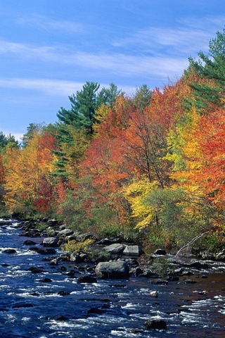 Умираю в красках лета...