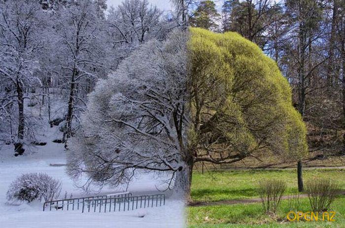 Вальс накануне весны