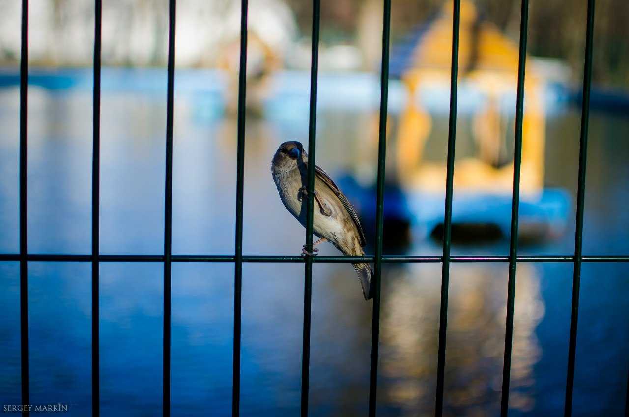 Пробуждение