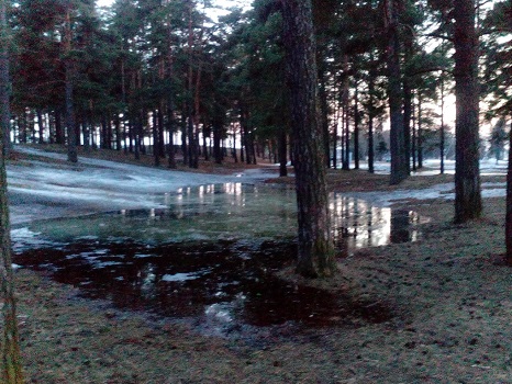 Весна, весна, пора чудес