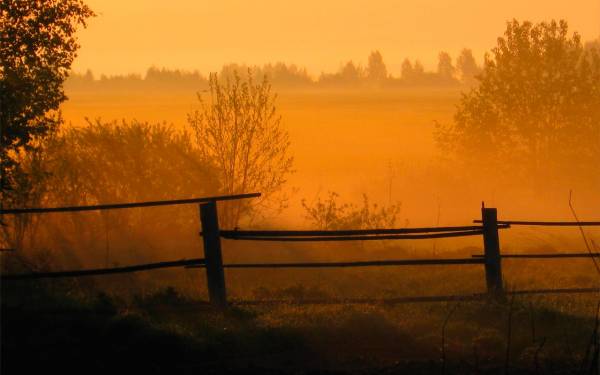 Как по расе холодной ты идёшь...