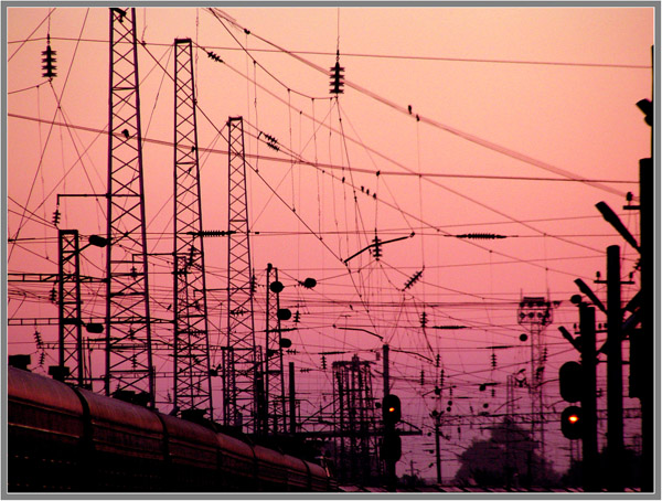 Я из города Ленинграда