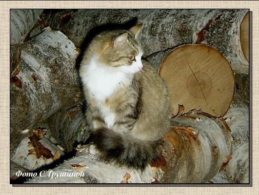 Погода славная в июне