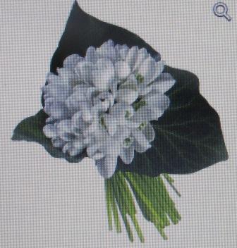 Подснежники для мамы