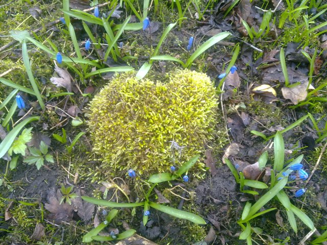 Робинзонит он смело... ,