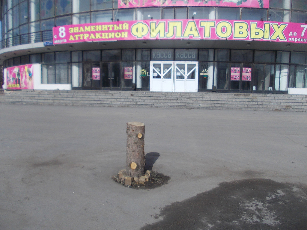 Маленькой елочке, холодно зимой...