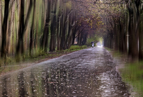 Приотставшее страданье