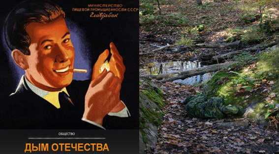 Next game - лесом... прямо!