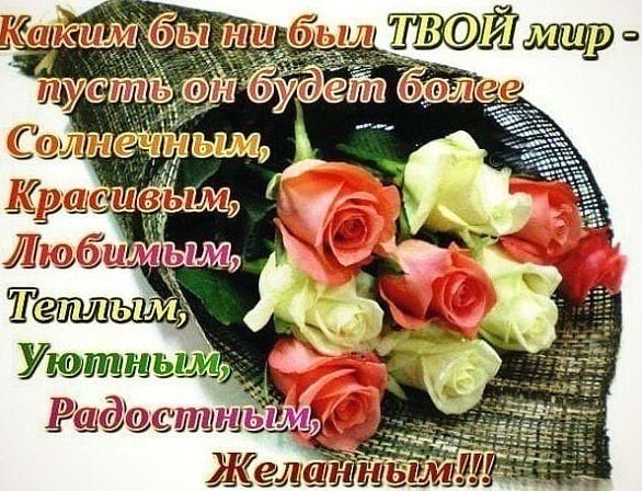 19. Соловей-!!!