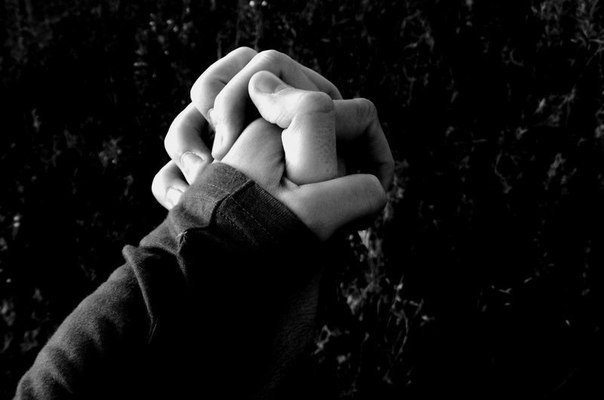 Любите тех...