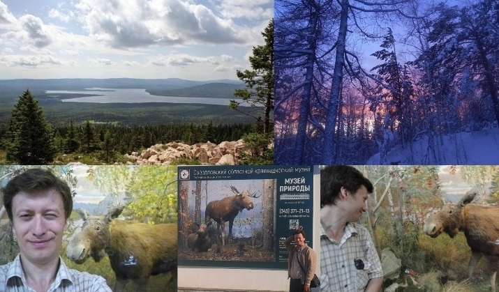 На Парнасе раздолье Пегаса...