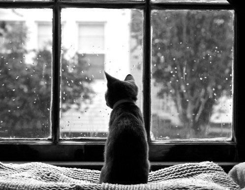 воспоминания