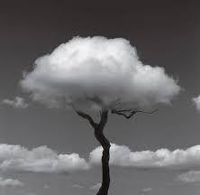 Вьются, вьются вереницей...