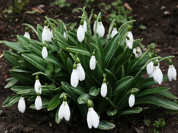 Таится в глубине души