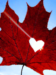 Я собираю мысли