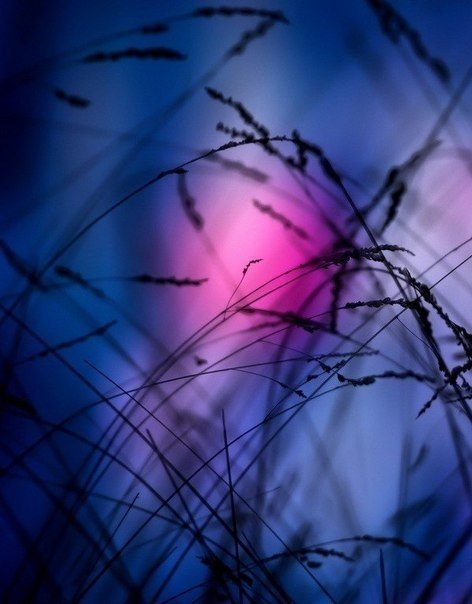 под хламидою чувств