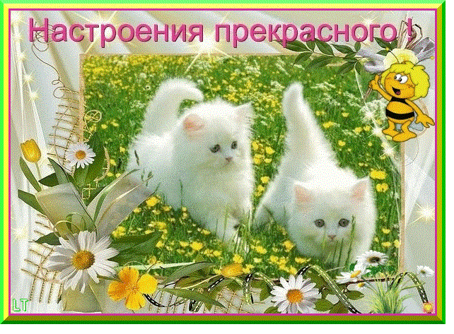 Анимированные Картинки Хорошего Настроения