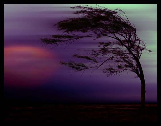 Почему нас губит так?