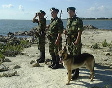 Уходят в ночь бесшумные наряды