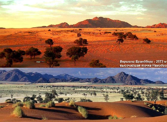 Цветная пустыня