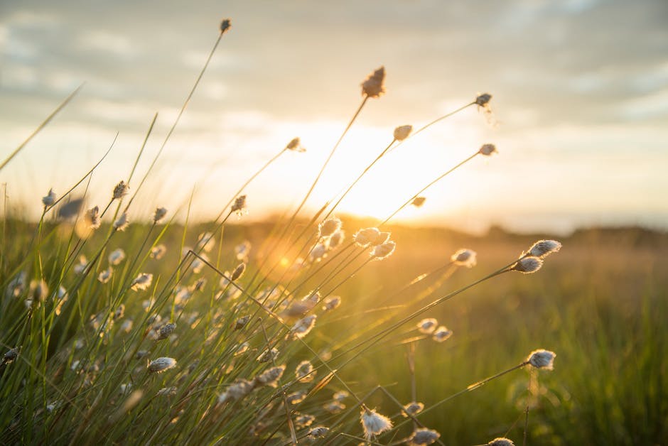 Мне сегодня очень хочется...