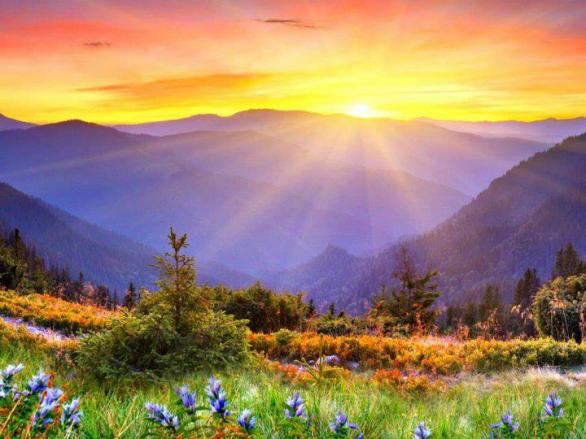 и Весною наслаждаться