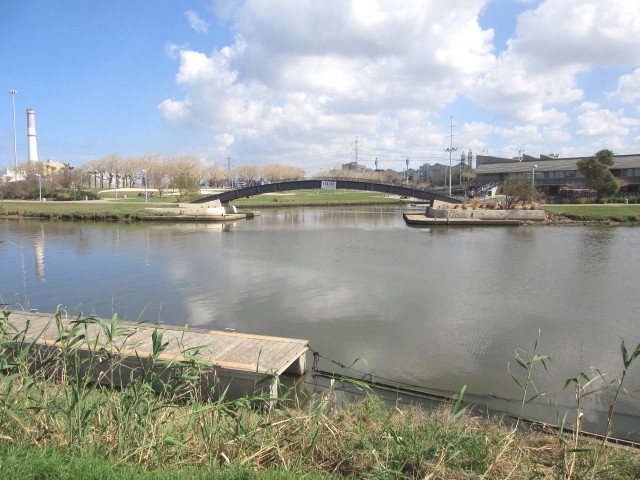 Чашка кофе на Дизенгофе