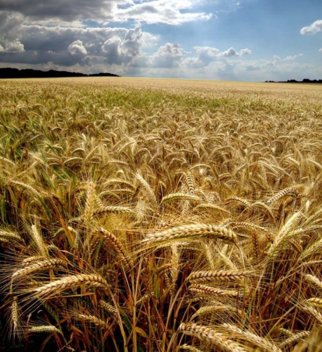 В этом мире греха