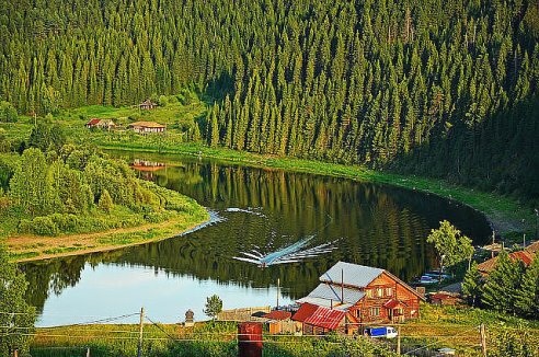 Эх тайга, сибирское раздолье